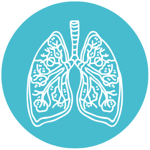 Lungs - proper breathing