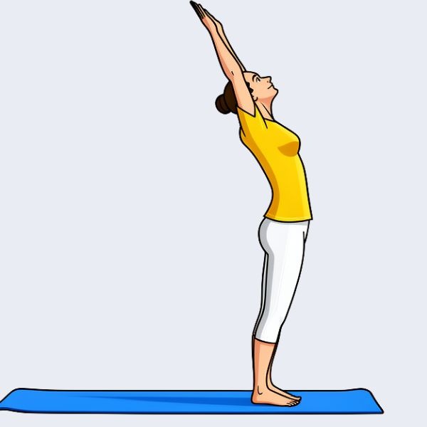 Steps 2 and 11 in Sun Salutation