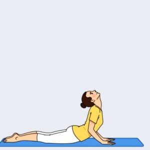 Position 7 - Sun Salutation