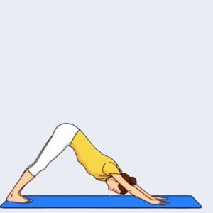 Position 8 - Sun Salutation