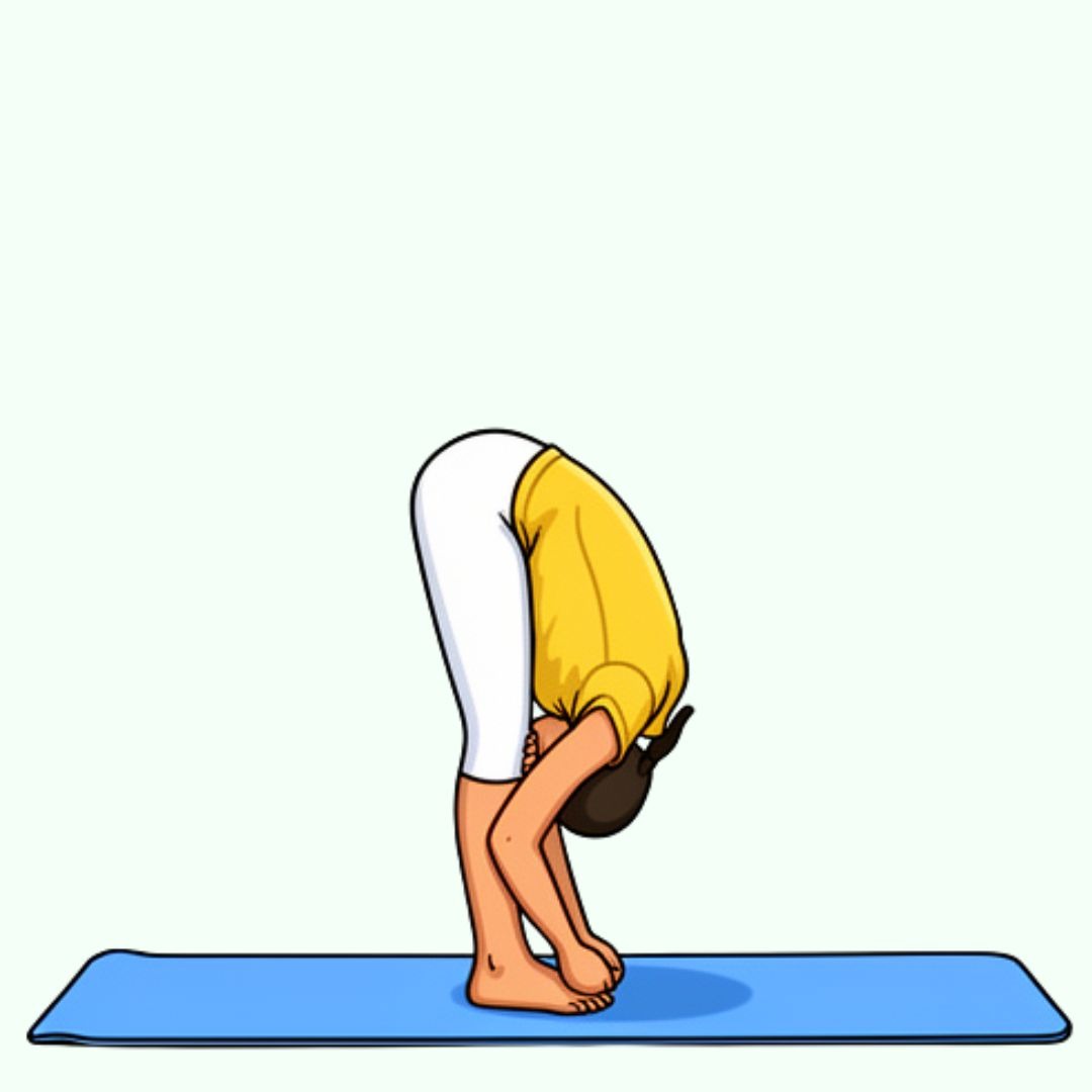 Standing forward bend (Pada Hasthasana)