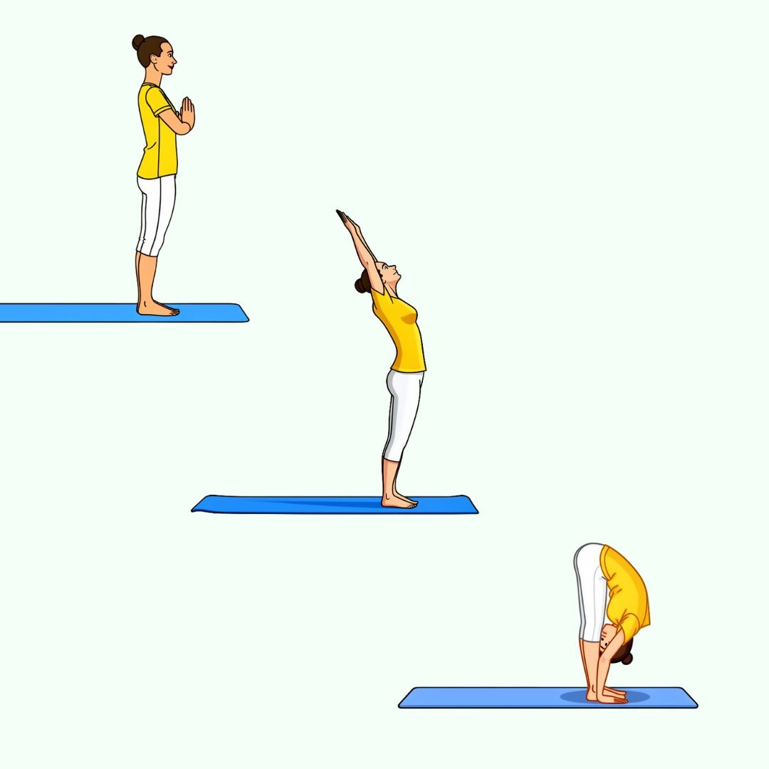 Sun Salutation illustration