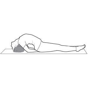 Fish pose graphic