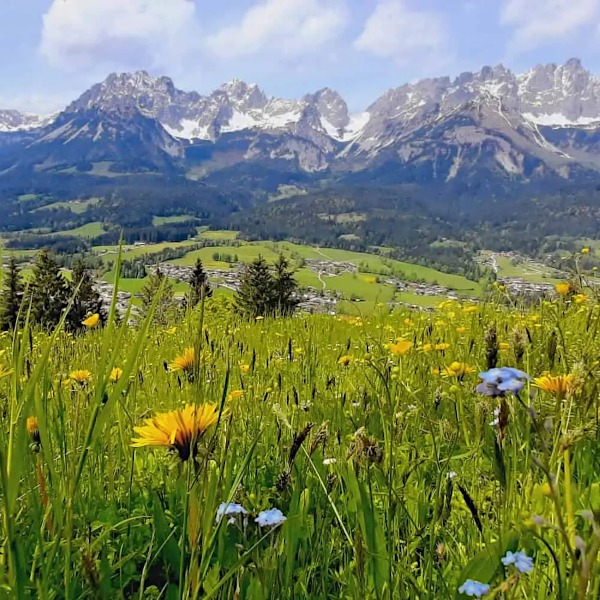 Wilder Kaiser