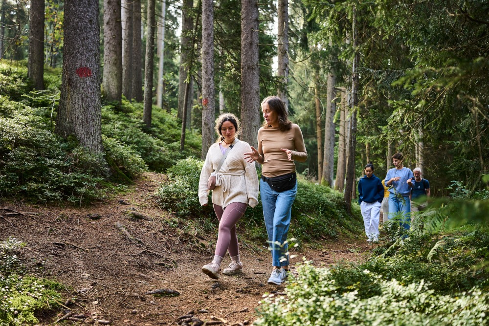 Walk in the forest