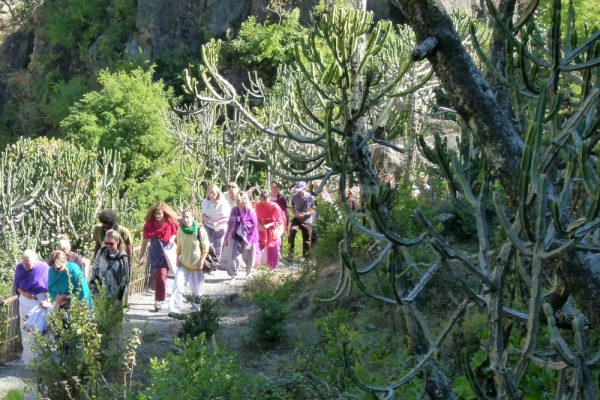 group-walking-to-koteshwar-temple