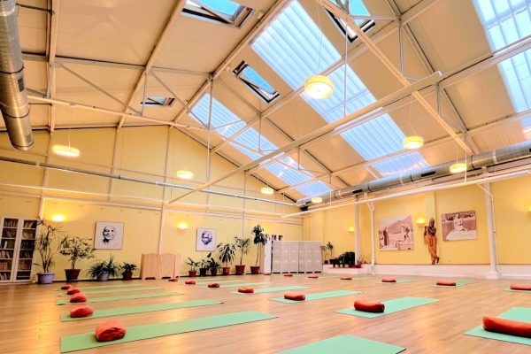 sivananda-yoga-vedanta-centre-paris Sivananda Yoga Centre in Paris